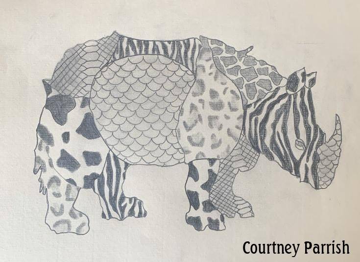 Rhino - Courtney Parrish