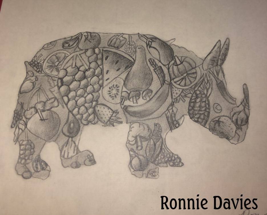 Rhino - Ronnie Davies